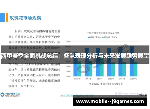 西甲赛季全面挑战总结：各队表现分析与未来发展趋势展望