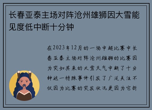 长春亚泰主场对阵沧州雄狮因大雪能见度低中断十分钟